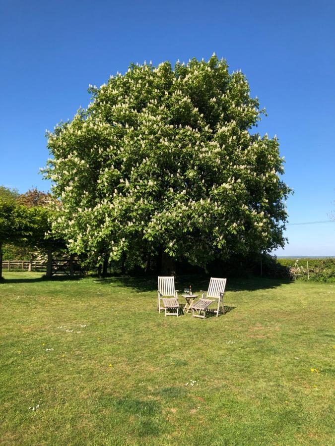 チッピング・ノートン The Old School, Idbury, Ox7 6Ru Bed & Breakfast エクステリア 写真